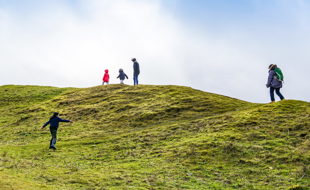 Field trips can be effective learning experiences for homeschool families, whether they are spontaneous or formally planned.