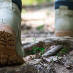 Muddy boots on a nature trail.