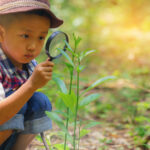 Young boy looking at plant through a magnifying glass.