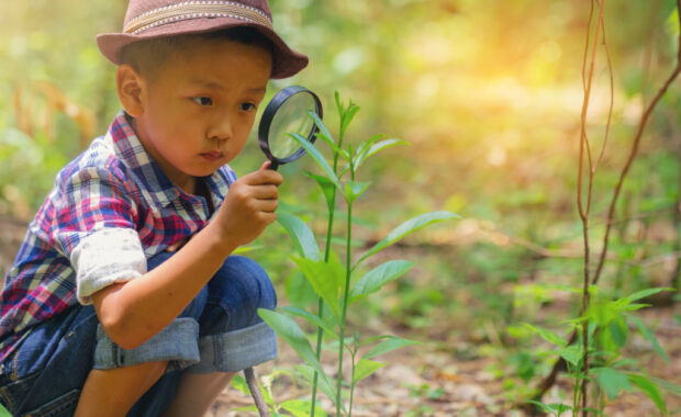Young boy looking at plant through a magnifying glass.