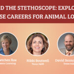 The show presenters are featured